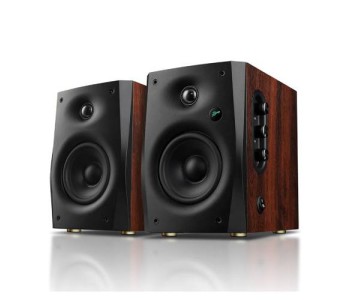 Swan active D1100 multimedia BT speaker