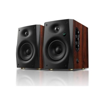 Swan D1100 Active Speaker