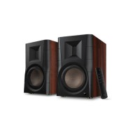 Swan D300 Active Speaker