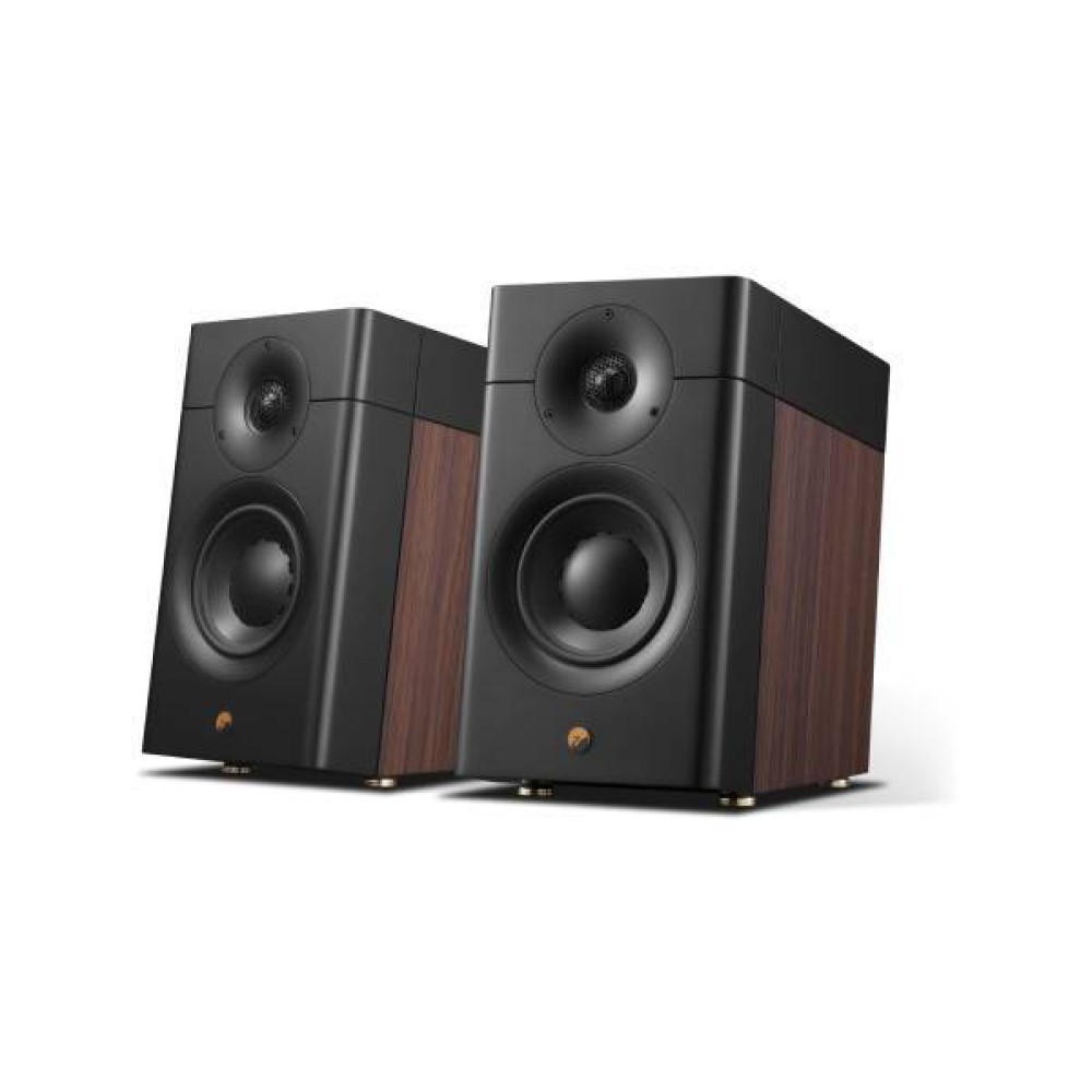 Swan passive D3.1MKII multimedia speaker