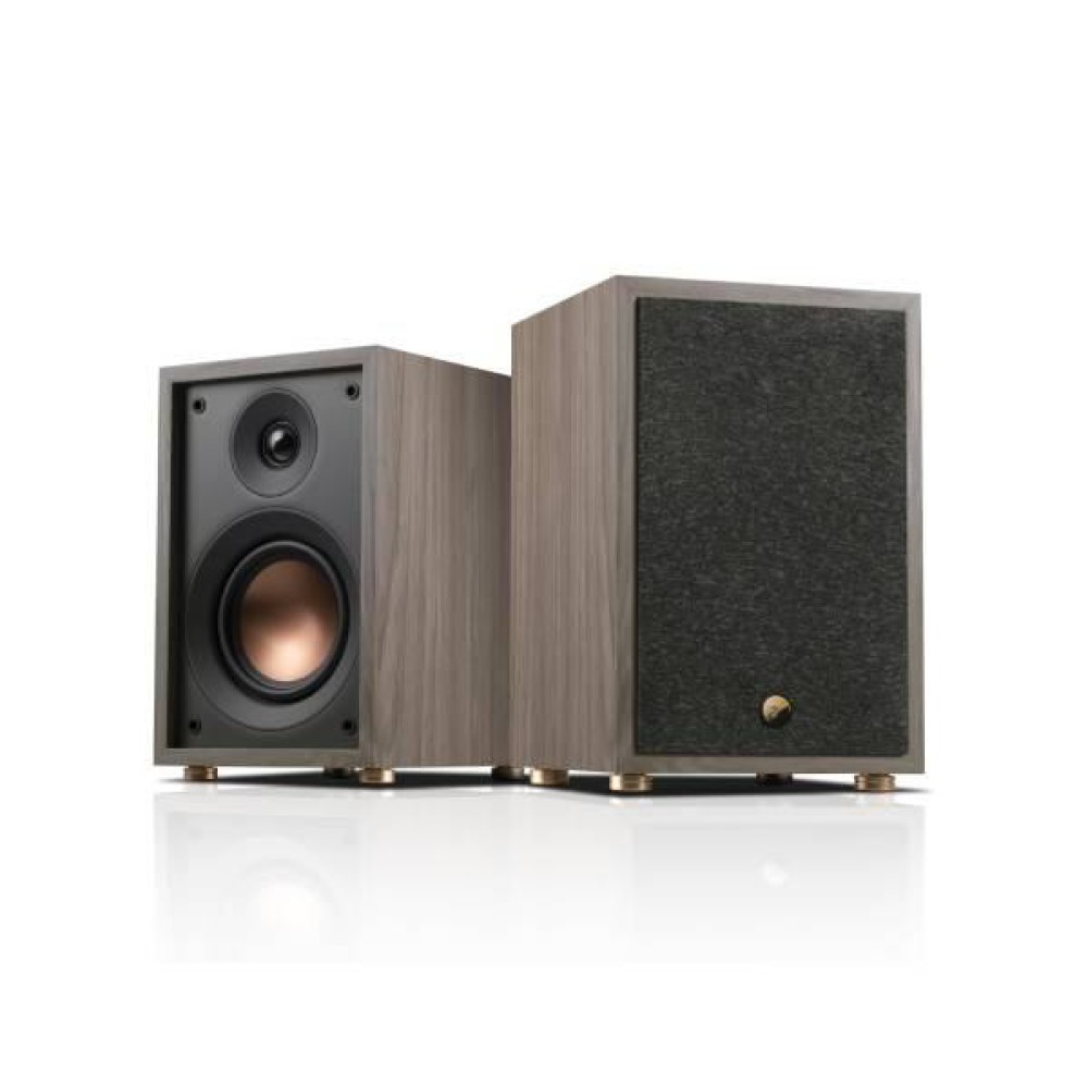 Swan passive Oasis 140 multimedia speaker