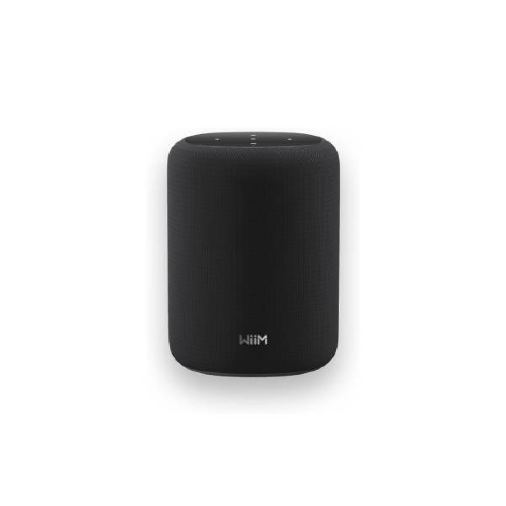 WiiM Sound Lite Speaker