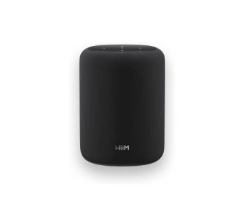 WiiM Sound Lite Speaker