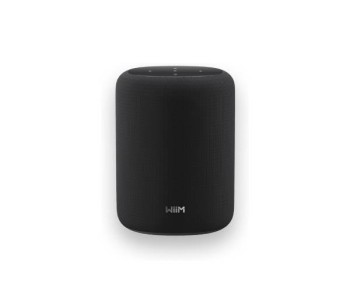 WiiM Sound Lite Speaker