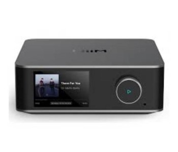 Wiim Ultra High Res Streamer