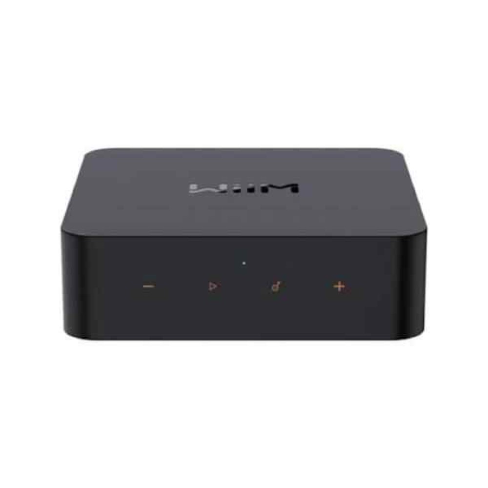 Wiim Pro Plus Music  streamer