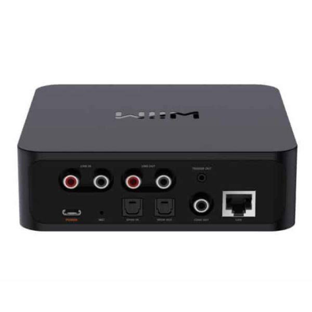 Wiim Pro Music Streamer