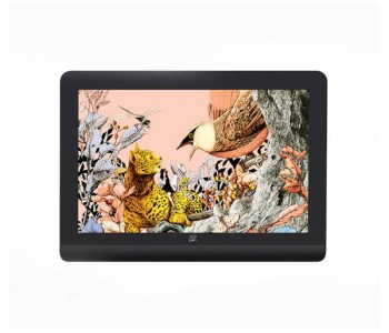 XP-Pen Artist Pro 16 (Gen 2)