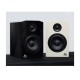 TITAN 40 2way back ported small Bookshelf Speaker