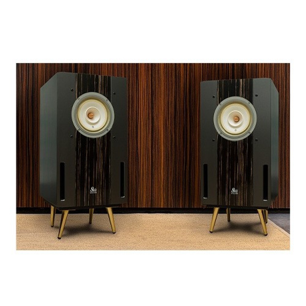 VOICE MASTER CLASSIC Speaker
