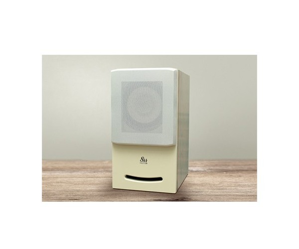 VOICE Master F6 Speaker