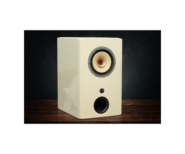 Voice Master Silver-6 Speaker