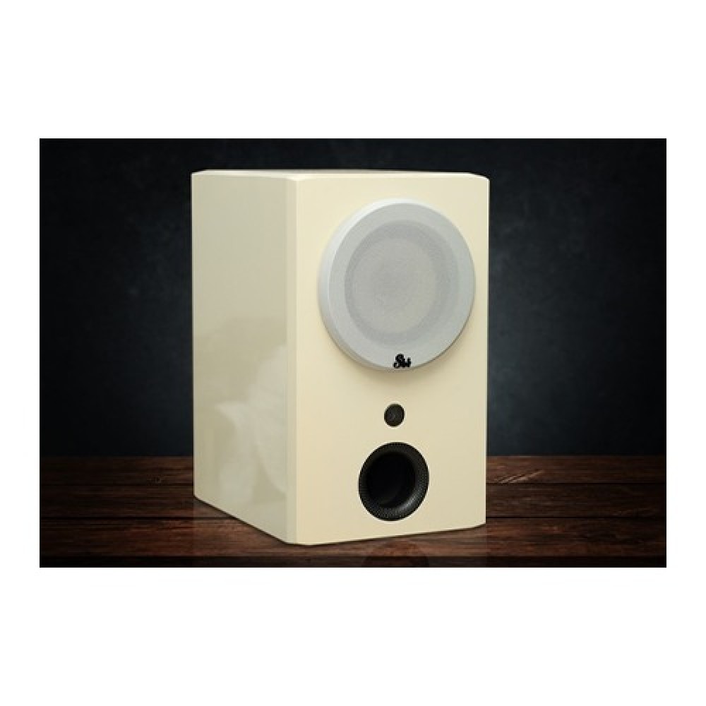 Voice Master Silver-6 Speaker Voice Master Silver-6 Speaker