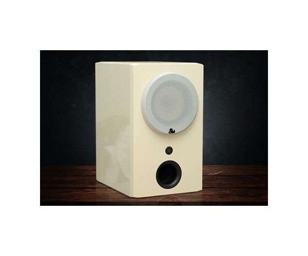 Voice Master Silver-6 Speaker