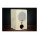 Voice Master Silver-6 Speaker
