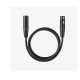 XLR Microphone